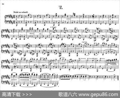 12WaltzesOp.594Hands（12首圆舞曲·四手联弹·Ⅴ）