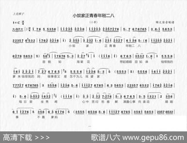 [上党梆子]小奴家正青春年刚二八（《吕布戏貂蝉》选段）