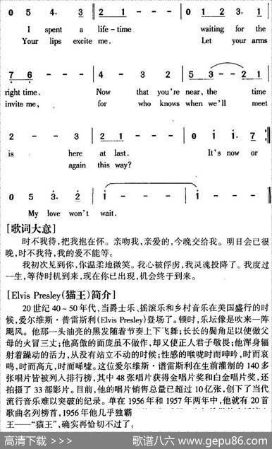 It'sNoworNever时不我待|ElvisPresley
