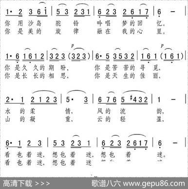 沙湖，塞上美人 - 陈韦云|张弛、高建堂
