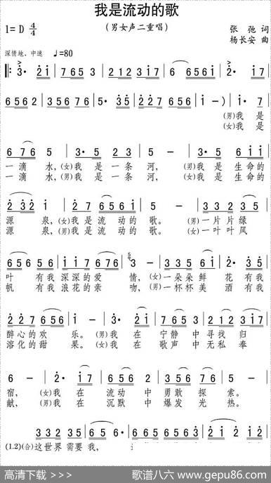 我是流动的歌 - 张弛|杨长安