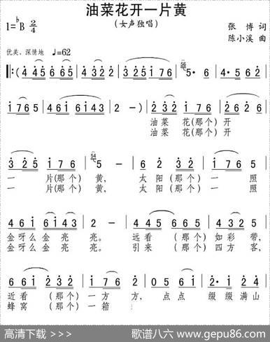 油菜花开一片黄 - 张博|陈小溪