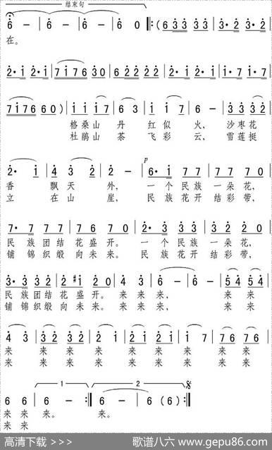 民族花开结彩带 - 张弛|张弛