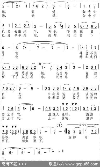妈妈，苦豆子花 - 张弛|马金星