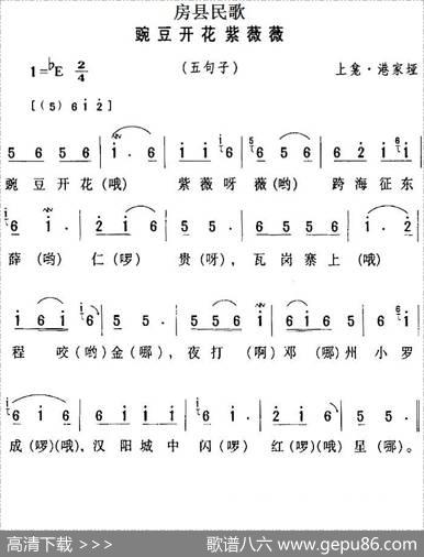 房县民歌：豌豆开花紫薇薇
