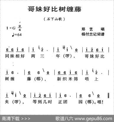 河源民歌：哥妹好比树缠藤