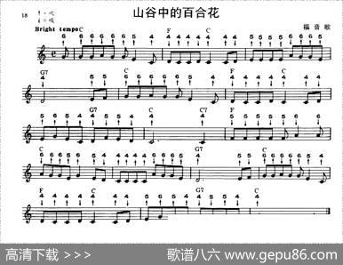 山谷中的百合花（布鲁斯）
