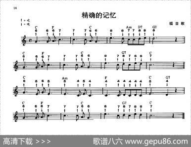 精确的记忆（布鲁斯）