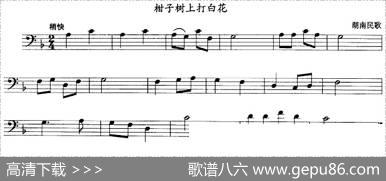 柑子树上打白花（长号）