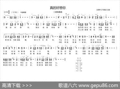 真的好想你（二胡独奏、带歌词版）