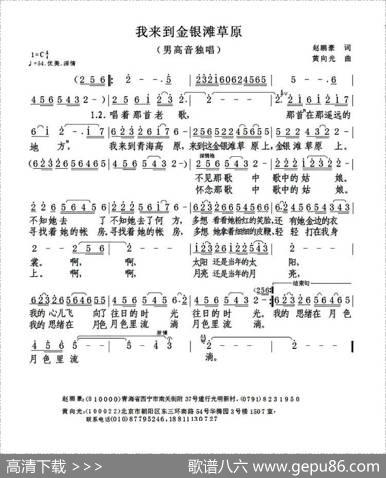 我来到金银滩草原（赵鹏豪词黄向光曲） - 赵鹏豪|黄向光