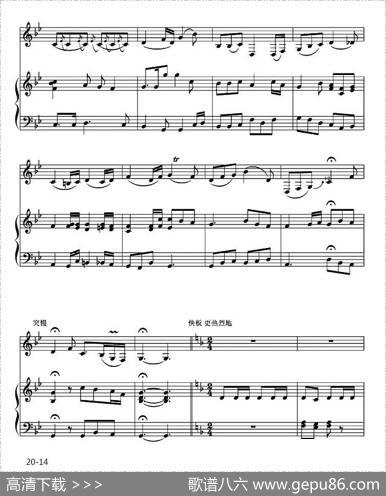 萨尔图畅想曲（二胡独奏+钢琴伴奏）|王连才曲、吕痴改编、王晨羽配伴奏