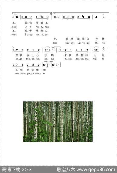 白桦树沙沙响Вышумитеберезы（中俄简谱） - （白俄罗斯）尼.吉列维奇词|（白俄罗斯）埃.哈诺克
