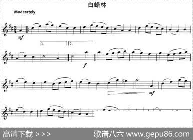 白蜡林