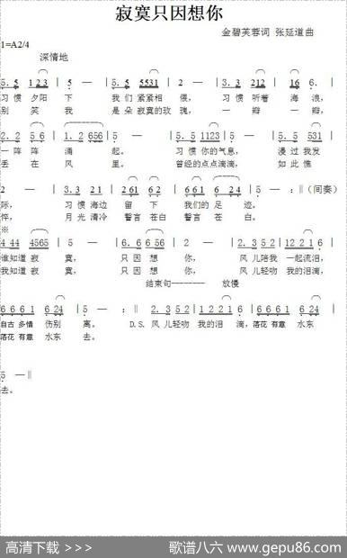 寂寞只因想你 - 金碧芙蓉|张延道