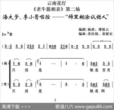 [云南花灯]《老牛筋相亲》第二场：海大爹、李小莺唱腔——“稀里糊涂认错人” - 杨虎、谭祖云编剧|苏庆煌、袁留安编曲