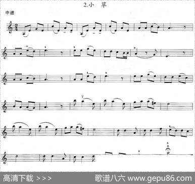 小草|王祖皆、张卓娅