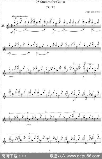 NapoleonCoste《25Studies,Op.38》（STUDY25）