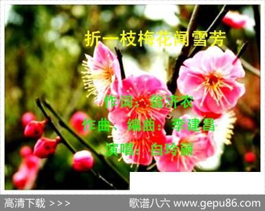 折一枝梅花闻雪芳 - 翁济农|李建昌