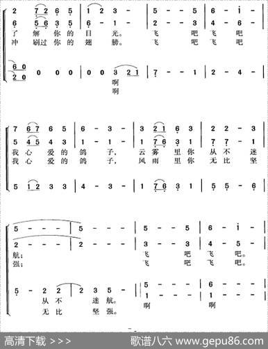 飞吧，鸽子（洪源词王立平曲冯晓阳编合唱） - 洪源|王立平曲冯晓阳编合唱