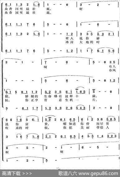 牡丹之歌 - 乔羽|唐诃、吕远曲冯晓阳编合唱