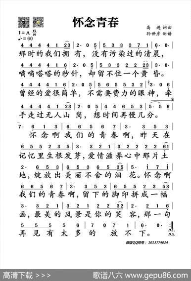 怀念青春 - 高进|高进