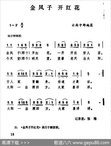 云南民歌：金凤子开红花
