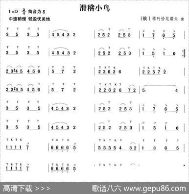 滑稽小鸟