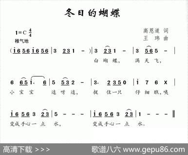 冬日的蝴蝶 - 高恩道|王玮