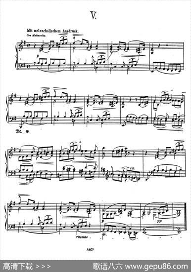 AlbumLeafOp.7（纪念册的一页·5）|狄奥多·柯希纳