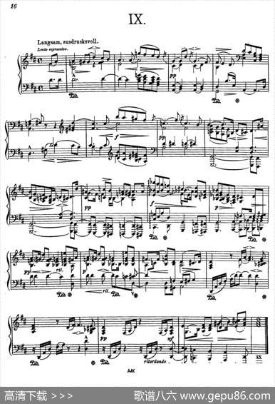 AlbumLeafOp.7（纪念册的一页·9）|狄奥多·柯希纳