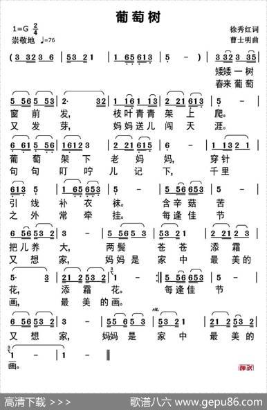 葡萄树 - 徐秀红|曹世明