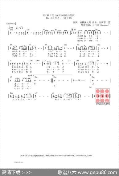 【日】雨に咲く花（雨中绽放的花朵） - 高橋掬太郎|池田不二男