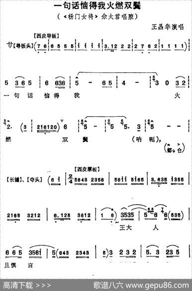 一句话恼得我火燃双鬓（《杨门女将》佘太君唱腔、王晶华演唱版）