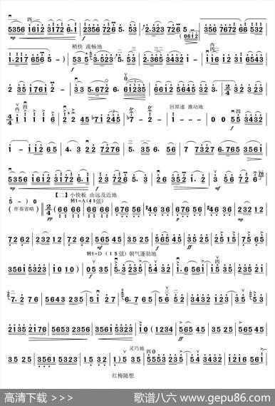 红梅随想曲
