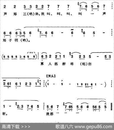 孤王酒醉桃花宫（《斩黄袍》赵匡胤唱腔）
