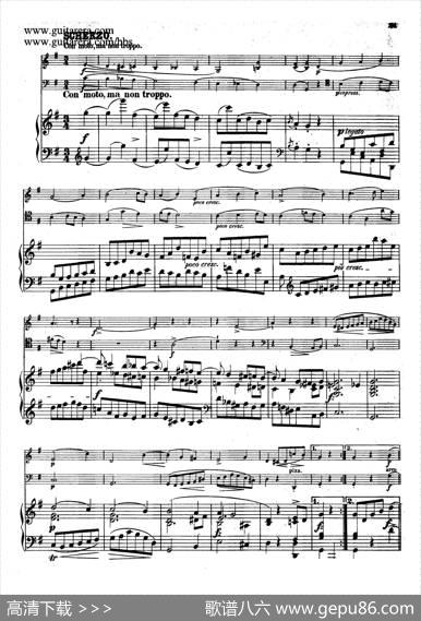 PianoTrioingMinorOp.8（g小调钢琴三重奏）|肖邦-chopin