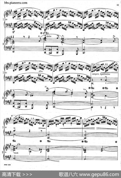 GrandFantasyonPolishAirsOp.13（华丽的波兰民歌幻想曲·双钢琴版）|肖邦-chopin