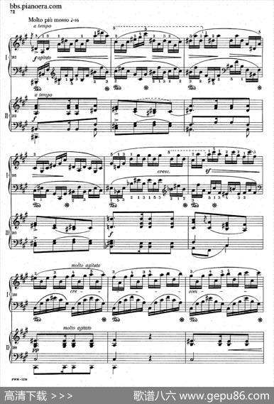 GrandFantasyonPolishAirsOp.13（华丽的波兰民歌幻想曲·双钢琴版）|肖邦-chopin