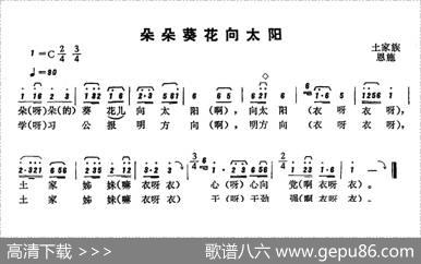 恩施民歌：朵朵葵花向太阳