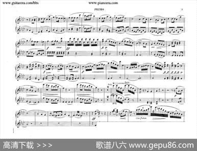 PianoConcertoNo.2infMinorOp.21（f小调第二钢琴协奏曲·四手联弹版）|肖邦-chopin