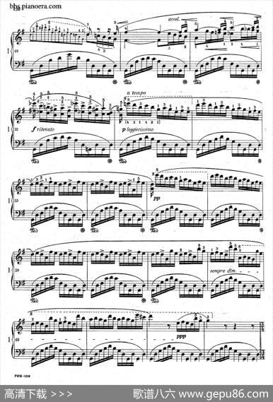 GrandePolonaiseBrilliantePrecededbyanAndanteSpianatoOp.22（平静的行板与华丽的波兰舞曲·双钢琴版）|肖邦-chopin