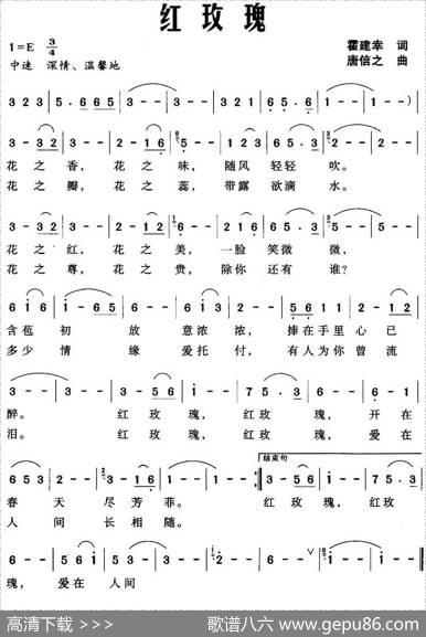红玫瑰（霍建幸词唐信之曲） - 霍建幸|唐信之