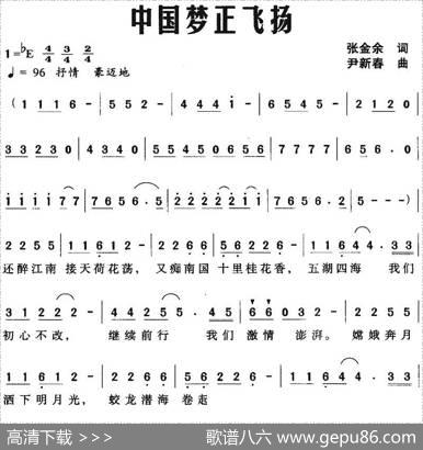 中国梦正飞扬 - 张金余|尹新春