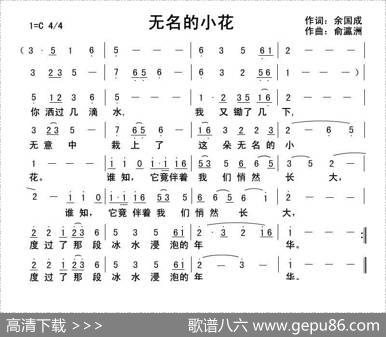 无名的小花 - 余国成|俞瀛洲