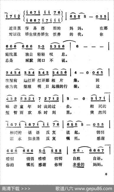 [日]秋菊 - 佐田征司|佐田征司