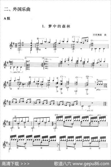 古典吉他考级十级外国乐曲A组（1、梦中的森林）|巴里奥斯