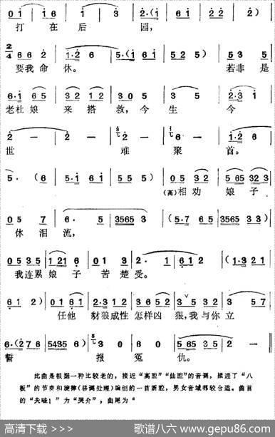 《米烂敲窗》选曲：见书有异正生疑（王金贞、高文举唱段）|潘汉明编曲