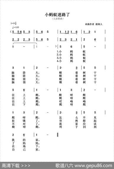 小蚂蚁迷路了 - 清闲人|清闲人