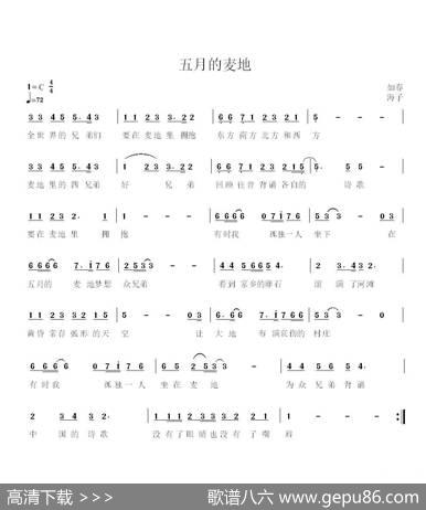 五月的麦地 - 海子|如春